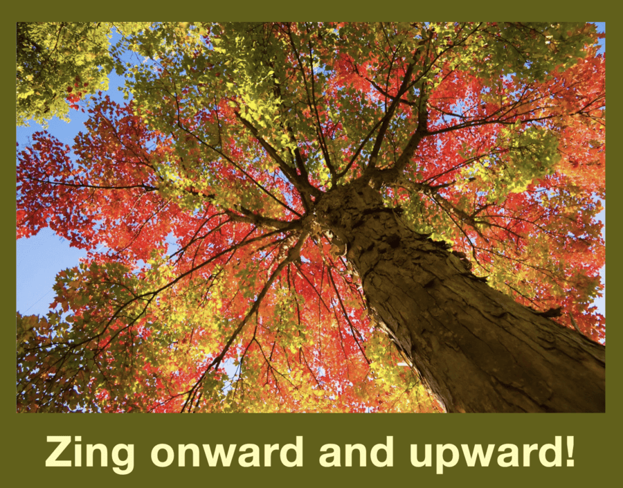 Oct' 25 join March Image for ZWP page-YES!