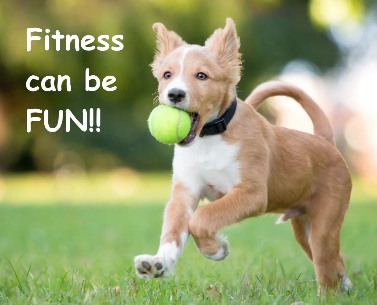 March Image for ZWP page-YES!